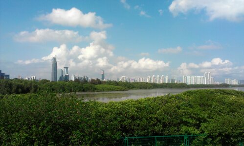 广东·深圳·红树林湿地公园·海滩