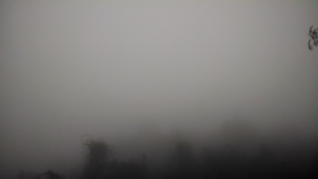 由于雾气太重，山上有的地方能见度非常低
