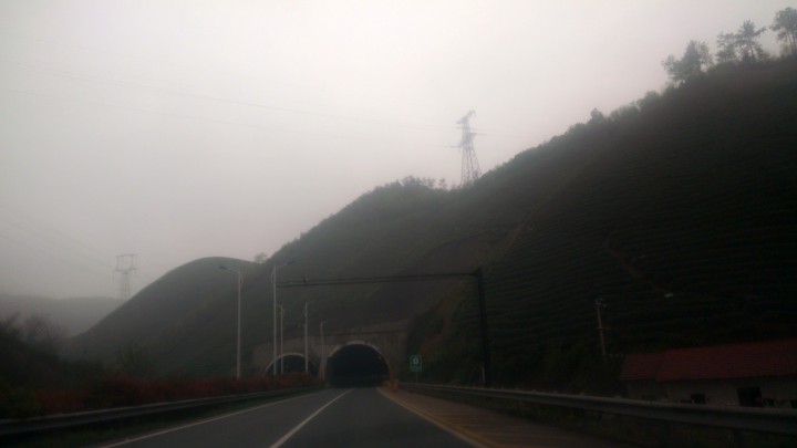 杭长高速安吉段，隧道上方的茶园