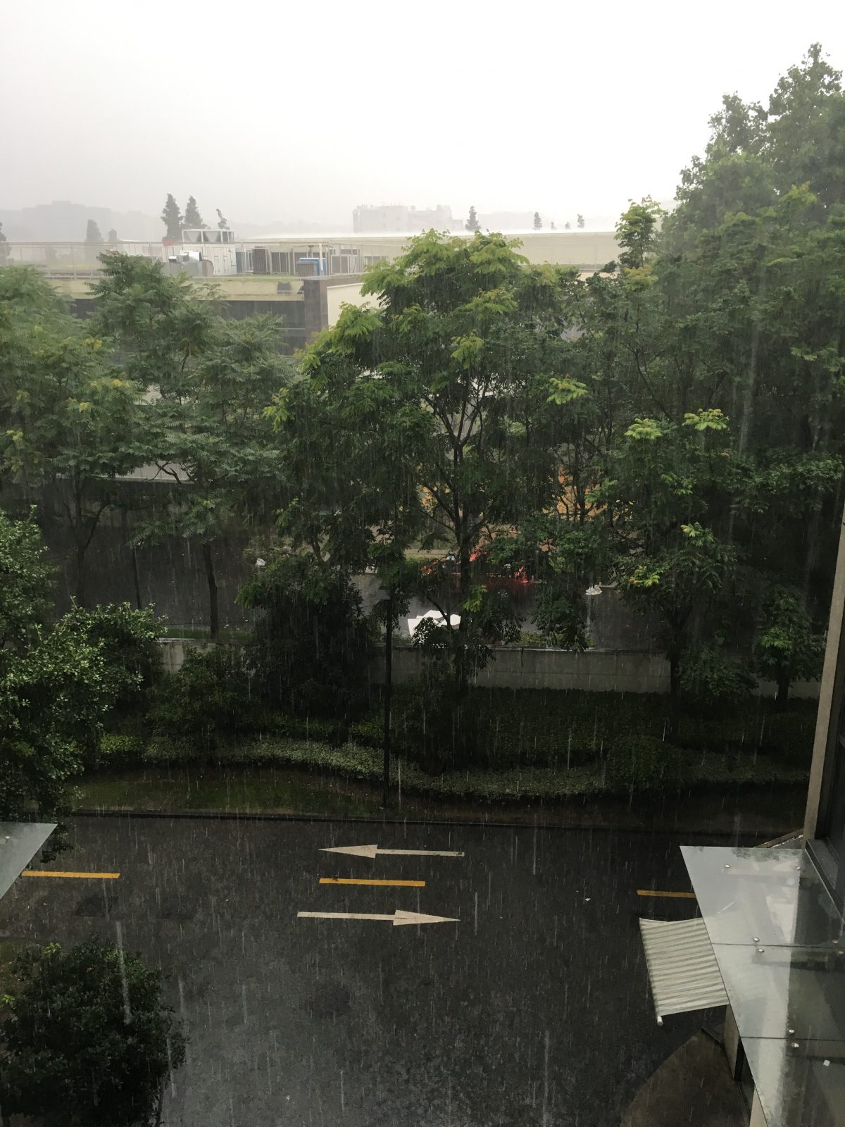 上海·夏季·大暴雨