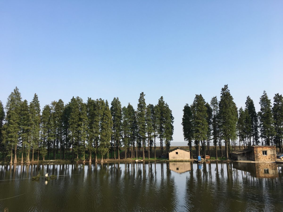 江苏宜兴太湖