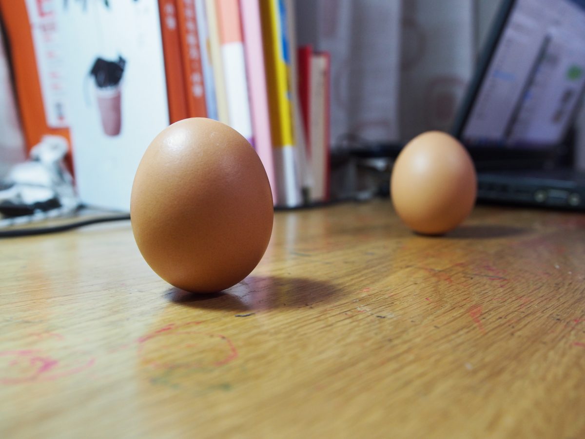 桌子·竖蛋·竖鸡蛋·生鸡蛋