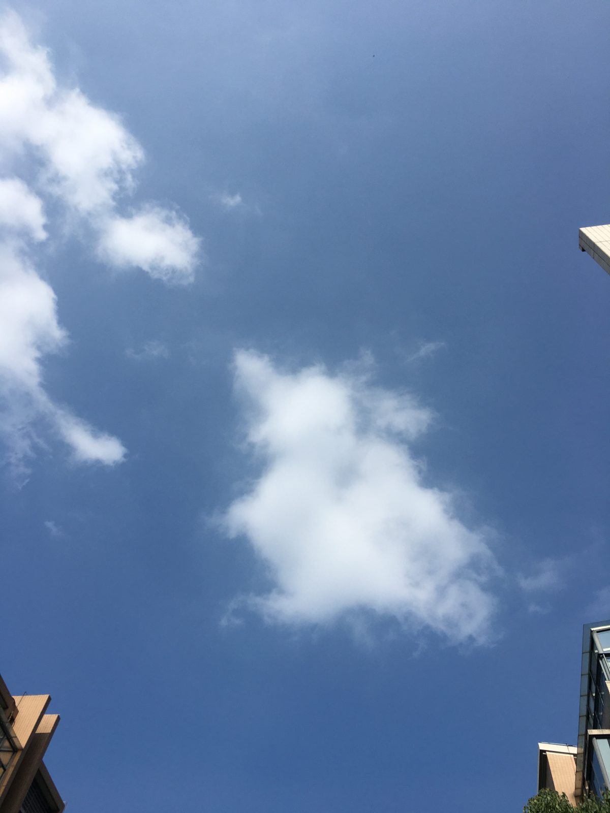 夏季·天空·烈日·凤鸟形云
