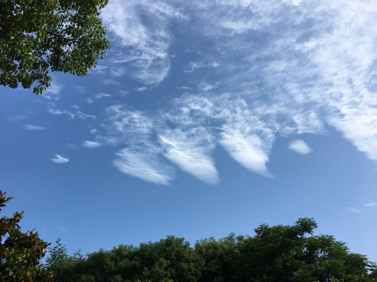 夏季·天空·蓝天·白云·羽毛状云