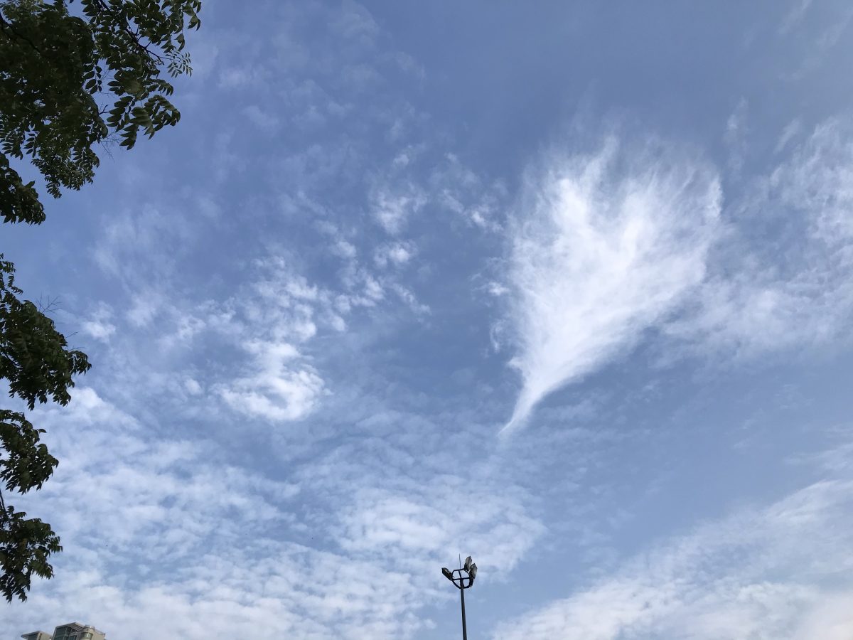 江苏·夏季·清晨·天空·云