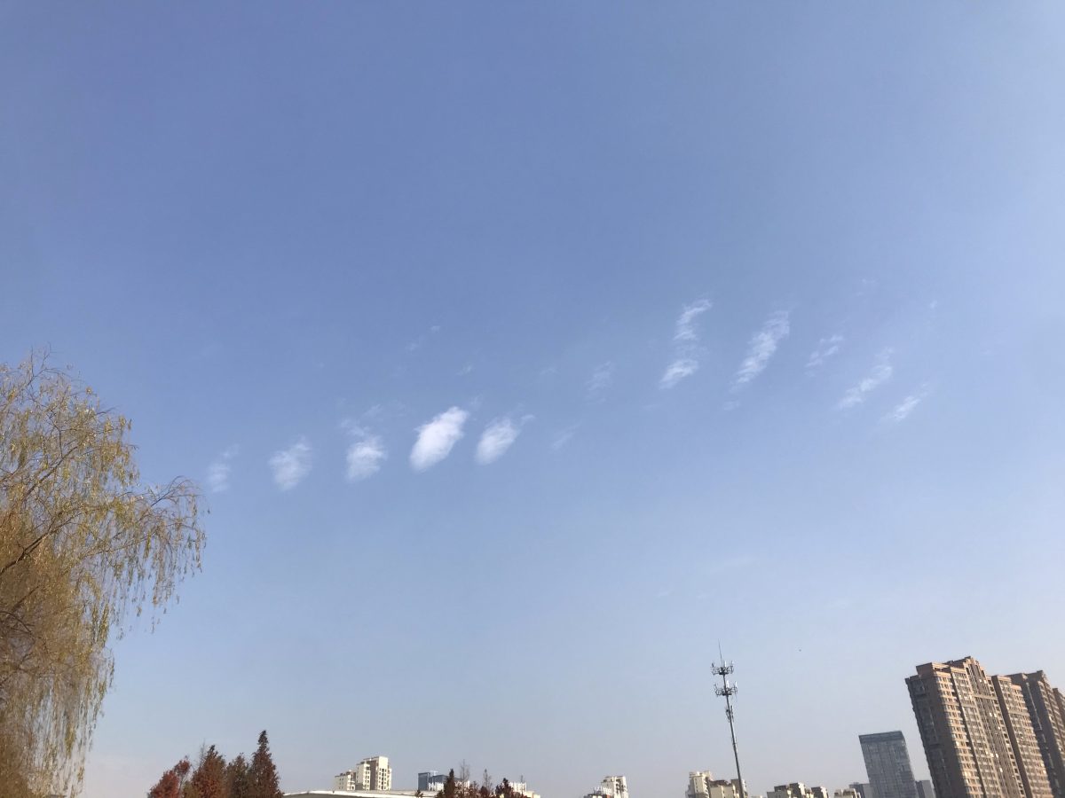 冬季·中午·蓝天·天空·云·柳树